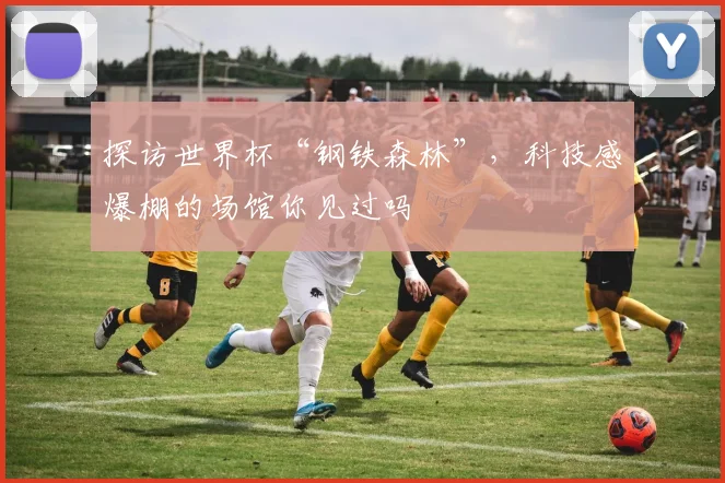 探访世界杯“钢铁森林”，科技感爆棚的场馆你见过吗