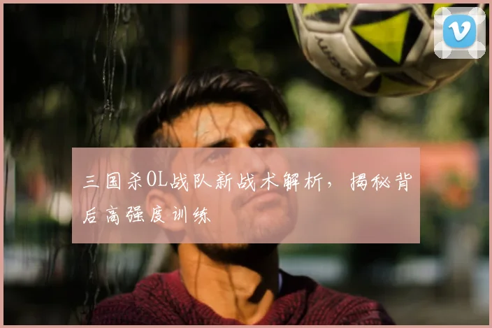 三国杀OL战队新战术解析，揭秘背后高强度训练