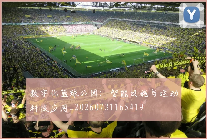 数字化篮球公园：智能设施与运动科技应用_20260731165419