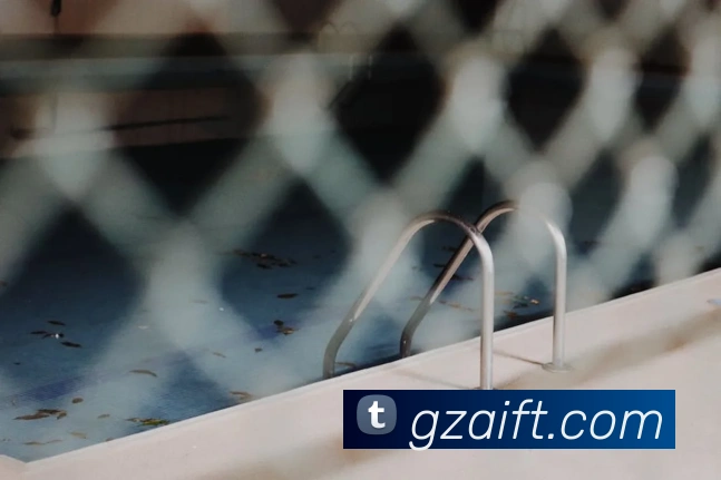 未来规划